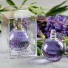 Eclat d'Arpège Lanvin perfume - a fragrance for women